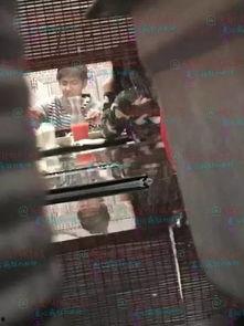 火锅店最新爆料视频,独家揭秘后厨操作与食材来源 第2张 火锅店最新爆料视频,独家揭秘后厨操作与食材来源 第2张